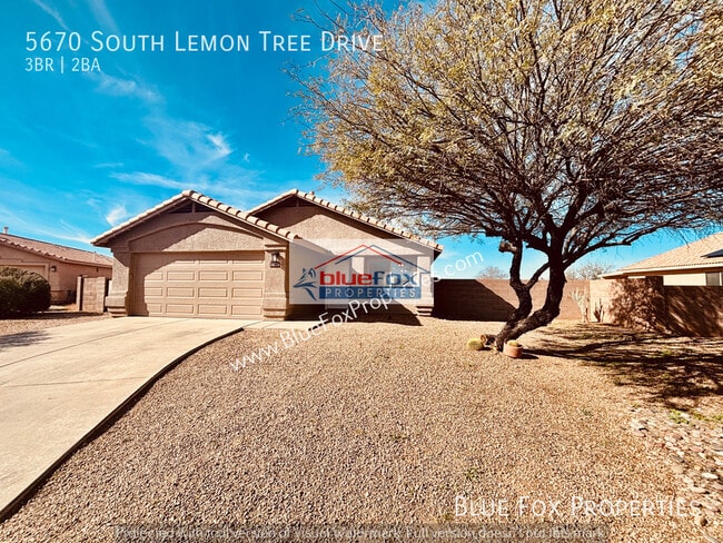 property at 5670 S Lemon Tree Dr