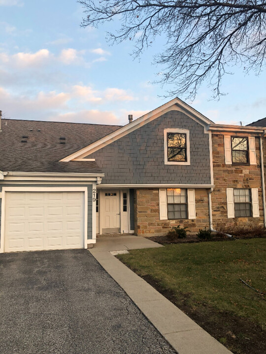 219 Hawthorne Ct in Schaumburg, IL - Building Photo