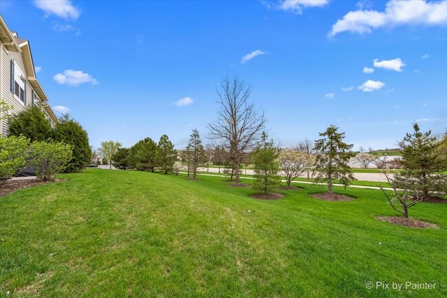 10097 Cummings St in Huntley, IL - Foto de edificio - Building Photo