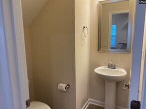 945 Bergenfield Ln in Chapin, SC - Building Photo - Building Photo