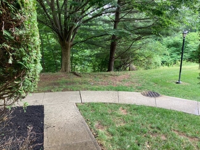 28 Stevens Ct in Bedminster, NJ - Building Photo - Building Photo