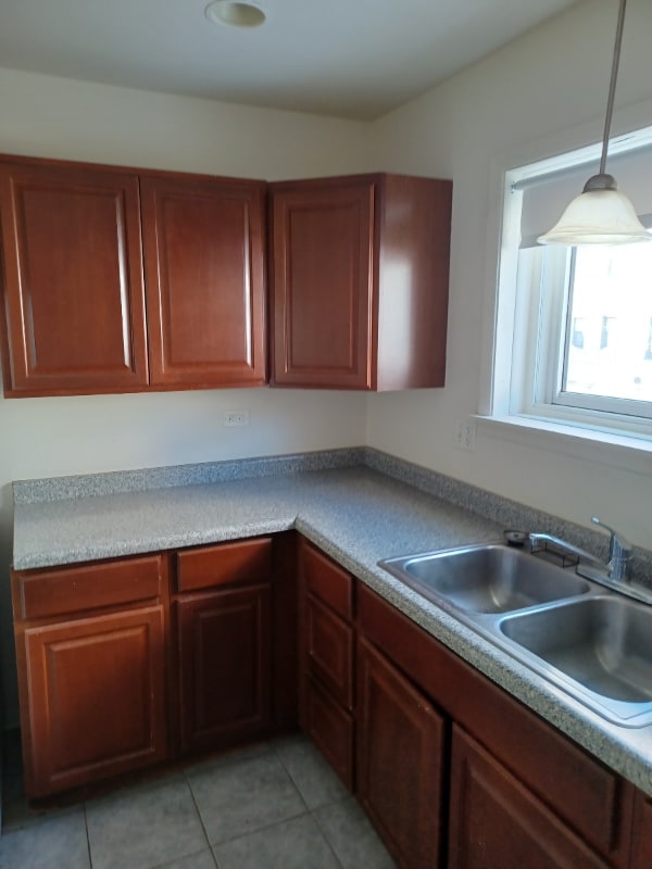 320 N Austin Blvd in Oak Park, IL - Building Photo - Building Photo