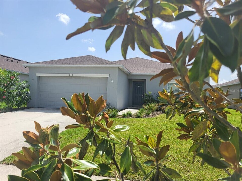 239 Amber Way in Kissimmee, FL - Building Photo