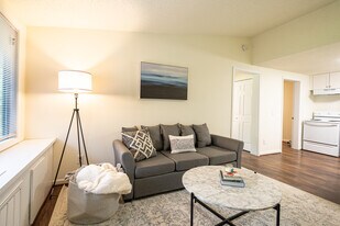 Amber Ridge Apartments ~ Boutique Cottage Style Living Meets Hassle Free Leasing in Richmond, VA - Building Photo