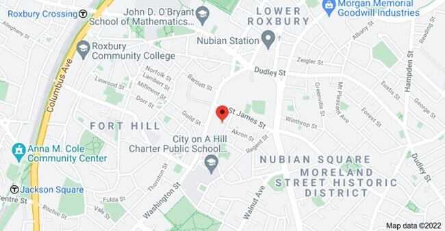 42 Alpine St in Boston, MA - Building Photo - Building Photo