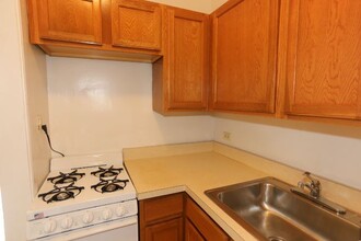 1167 N Dearborn St in Chicago, IL - Building Photo - Building Photo