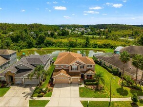 2330 Nesslewood Dr in Wesley Chapel, FL - Building Photo - Building Photo