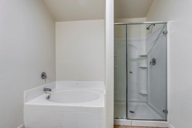 223 Azalea Way in New Braunfels, TX - Building Photo - Building Photo