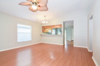 7803 Citrus Blossom Dr in Land O Lakes, FL - Foto de edificio - Building Photo