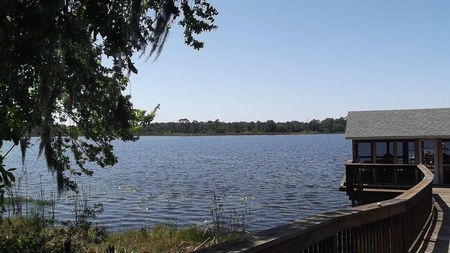 10316 Fallsgrove St in Orlando, FL - Foto de edificio - Building Photo