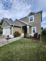 10121 Sea spray Pl in Tampa, FL - Building Photo