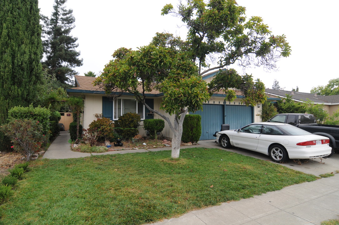 2923 David Ave in San Jose, CA - Foto de edificio