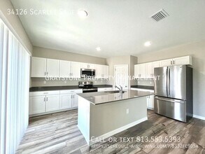 34126 Scarlet Sage Ct in Wesley Chapel, FL - Building Photo - Building Photo