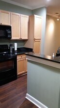 411 W Washington St, Unit #209 in Greensboro, NC - Building Photo - Building Photo