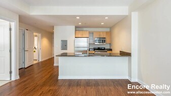8 Emerson Pl, Unit #90-8 in Boston, MA - Building Photo