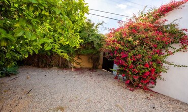 1005 N Harper Ave in West Hollywood, CA - Building Photo - Building Photo