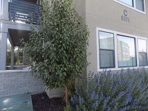 8373 S Iris Lumi Ln in Midvale, UT - Foto de edificio - Building Photo