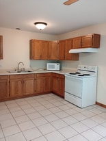 316 S Walnut St in Manteno, IL - Building Photo