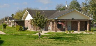 1119 S Tower Rd in Alamo, TX - Building Photo