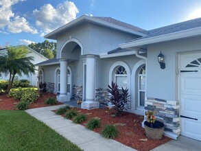 1353 Scattered Pines Pl in Zephyrhills, FL - Building Photo - Building Photo