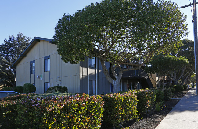 Villa Ramona in Monterey, CA - Foto de edificio - Building Photo