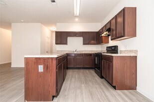 3939 Lexington Grove Ct in Missouri City, TX - Building Photo