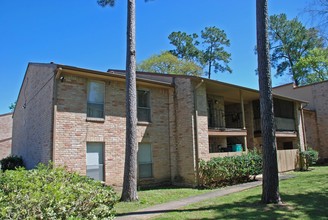 Lyons Court in Spring, TX - Building Photo - Building Photo