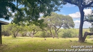 218 Walnut in Spring Branch, TX - Building Photo - Building Photo