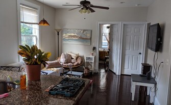 719 Parker St, Unit 3 in Boston, MA - Building Photo