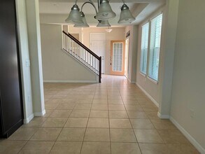 9409 Silver Buttonwood St in Orlando, FL - Building Photo - Building Photo