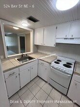 524 Bay St NE in St. Petersburg, FL - Building Photo - Building Photo