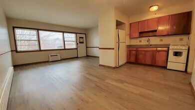 1005 N Harlem Ave in Oak Park, IL - Building Photo - Building Photo