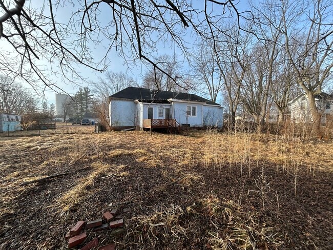 112 W Winans St in Chestnut, IL - Building Photo - Building Photo