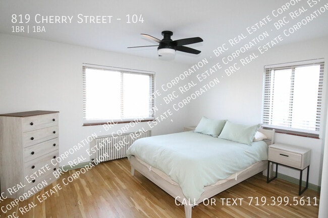 819 Cherry St in Denver, CO - Building Photo - Building Photo