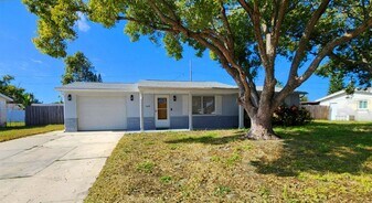 3629 Bedford St in New Port Richey, FL - Building Photo