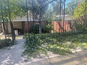 1143 S Corona St in Denver, CO - Building Photo - Building Photo