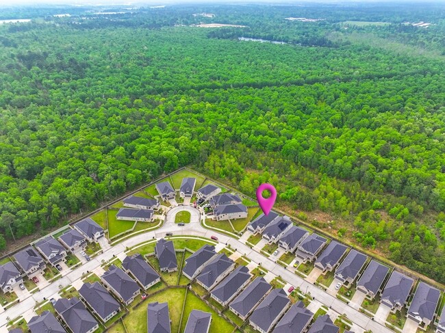 10598 Wild Chives in The Woodlands, TX - Building Photo - Building Photo