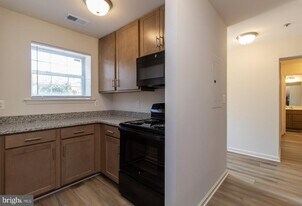 4109 Applegate Ct in Hillcrest Heights, MD - Building Photo