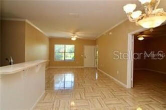 2138 Chianti Pl in Palm Harbor, FL - Building Photo - Building Photo