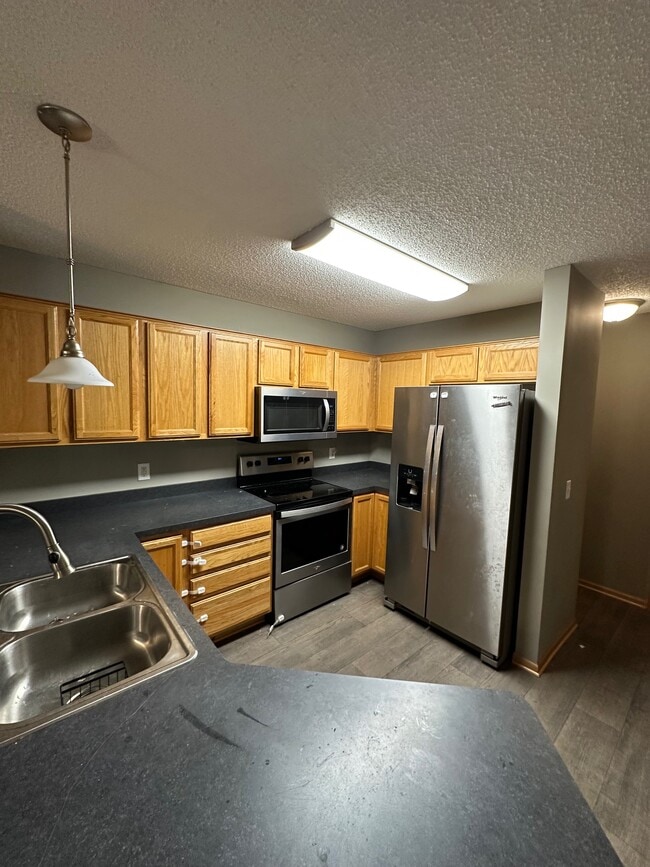 17337 River Birch Ln in Prior Lake, MN - Foto de edificio - Building Photo