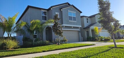 12757 Maple Bonsai Dr in Riverview, FL - Building Photo - Building Photo