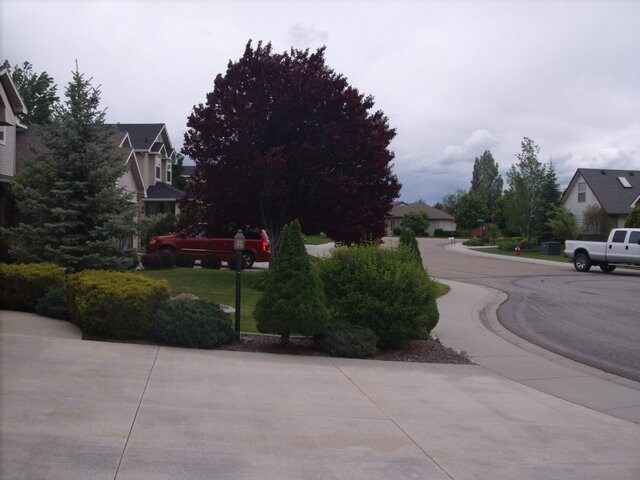 14170 W Guinness Ct in Boise, ID - Building Photo - Building Photo