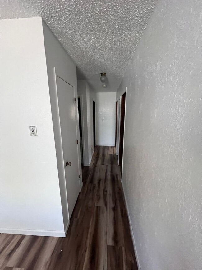 211 Spruce Dr in Alamosa, CO - Building Photo - Building Photo