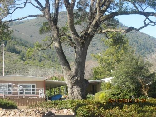 8920 Soda Bay Rd in Kelseyville, CA - Building Photo - Building Photo