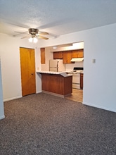 505 N Washington Ave in Ludington, MI - Foto de edificio - Building Photo