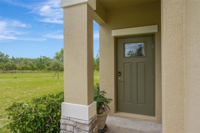 17741 Tawny Malt Pl in Land O Lakes, FL - Building Photo - Building Photo
