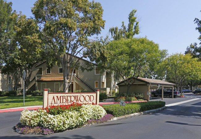 Amberwood Apartments in San Jose, CA - Building Photo - Building Photo