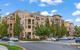 49002 Cinnamon Fern Common in Fremont, CA - Building Photo