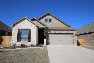 233 Scenic Hills Cir in Georgetown, TX - Building Photo