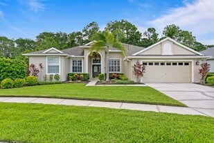 14511 Corkwood Dr in Tampa, FL - Building Photo